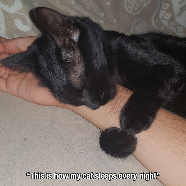 heartwarming-photos-14