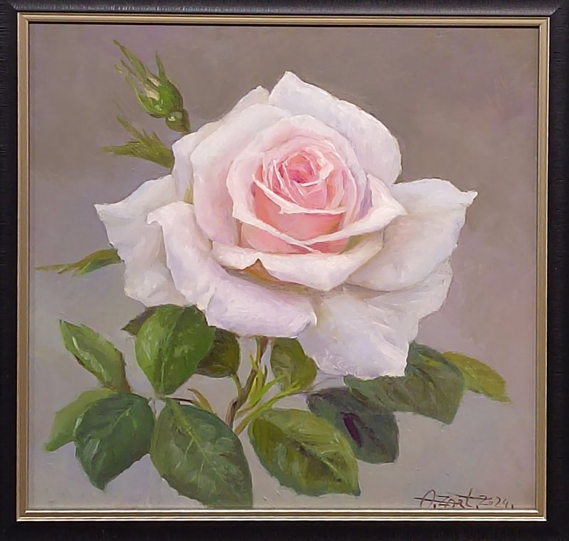 https://i.postimg.cc/JzbdVDM2/167-IMG-20250227-122313.jpg