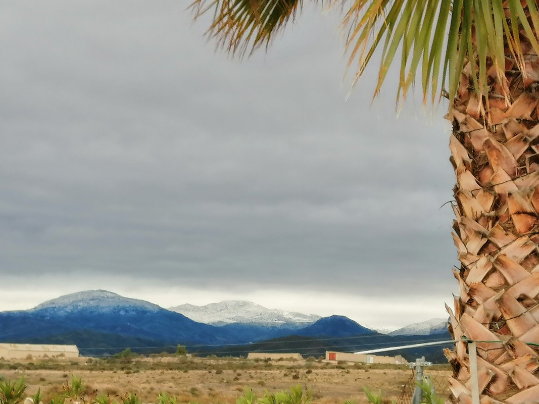 IMG_20200120_094319valb