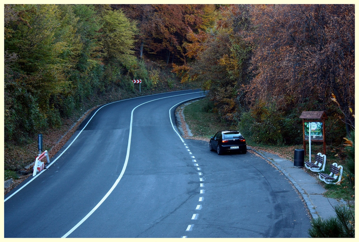 xIMG_3950
