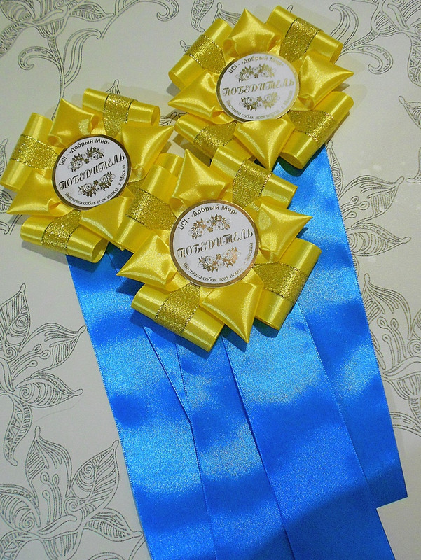 erhVNR01iLYkC6TKmA_hQCqNZo0bnMJPJ4HNLWhvUp6GsS9NOXlUER4hhnSJrVGTABKGQd_SkpLVpdi6dsXG4jWe