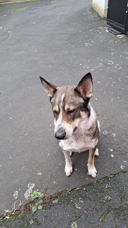 6BF9349F-8DF2-46E9-9B3A-FA5BB4949371