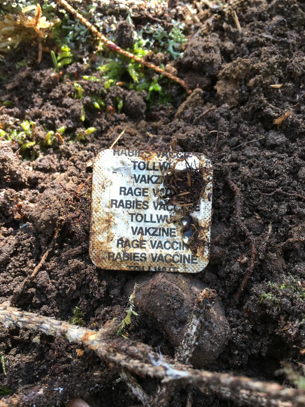 20902891-4BC1-48DE-8B61-FA845C208C32