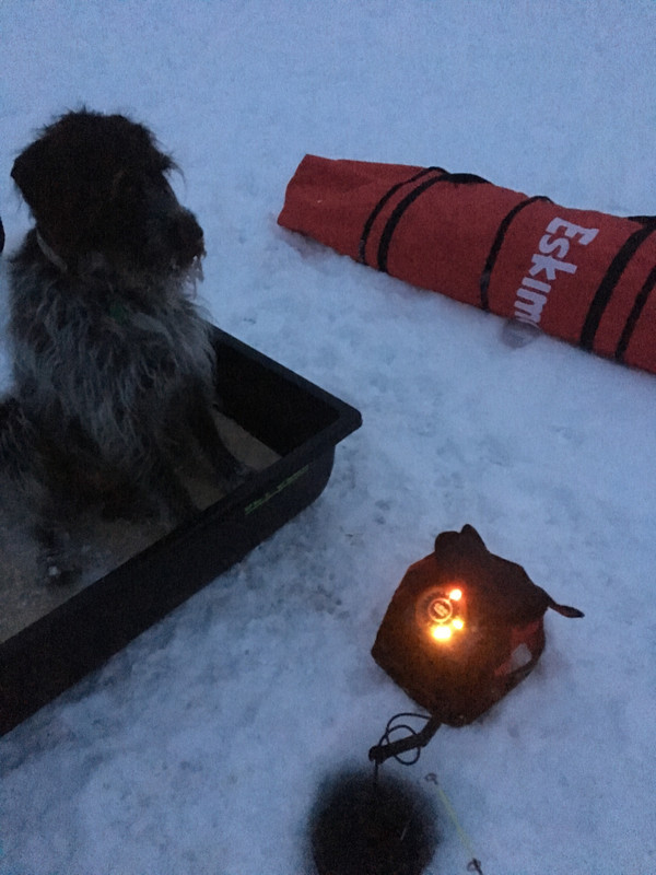 BA935044-9490-4D6C-92A1-716F1F07363F