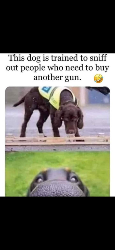 Screenshot 20251123 231312 Photos