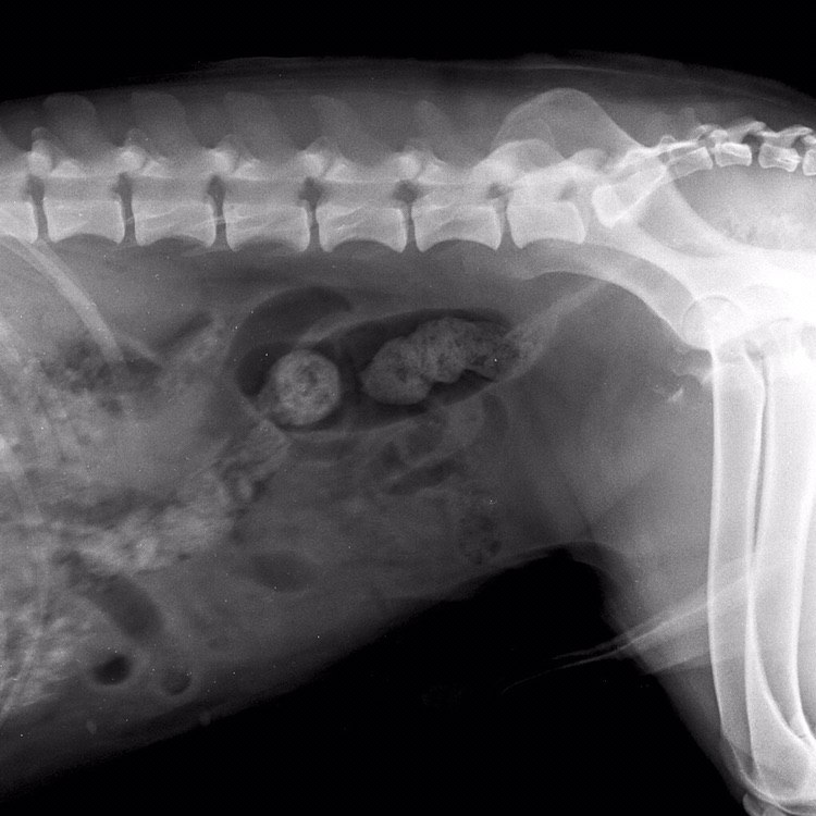 3903F22C-994F-42B1-8ACB-7D983FD0BC13