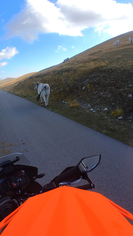 8A0096A6-64BA-4DE7-849F-48113D08B751