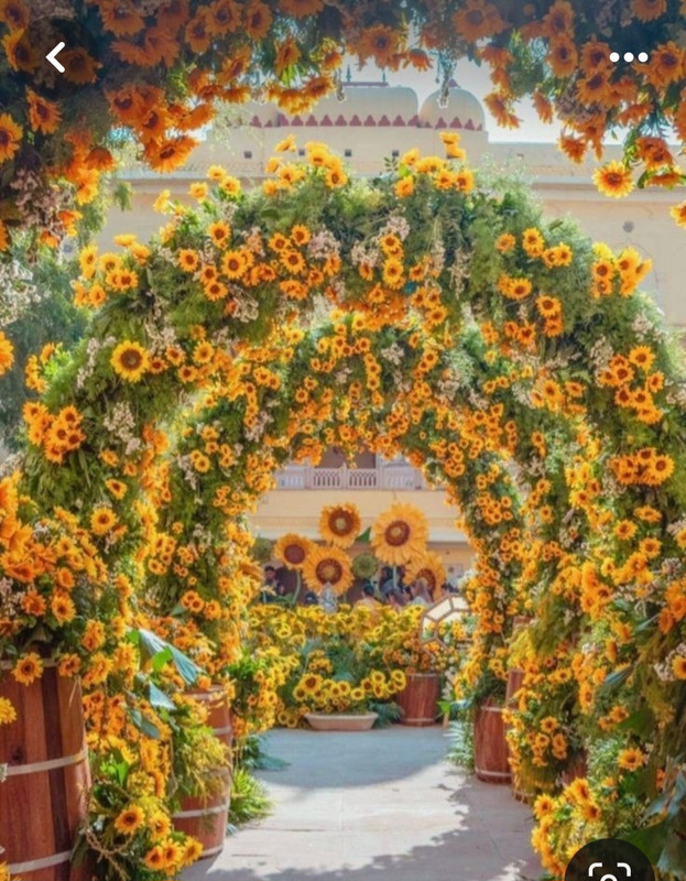 Screenshot_20240508_230737_Pinterest