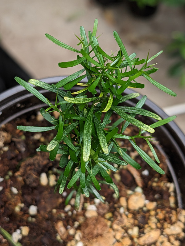 PXL_20230601_194135279