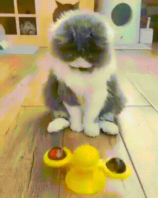 daily-gifdump-3408-28.gif