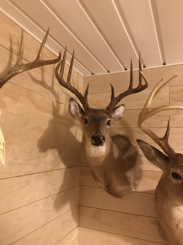 D8583C23-854B-4916-B733-D00BA6820F48