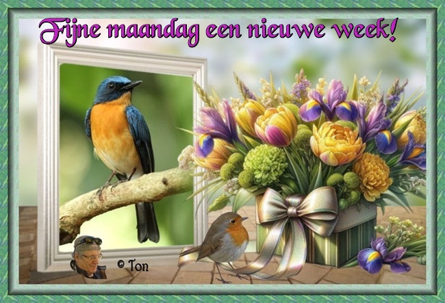 www.krabbelplaatjes.com