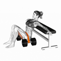 Elevação Pélvica com Banda de Resistência