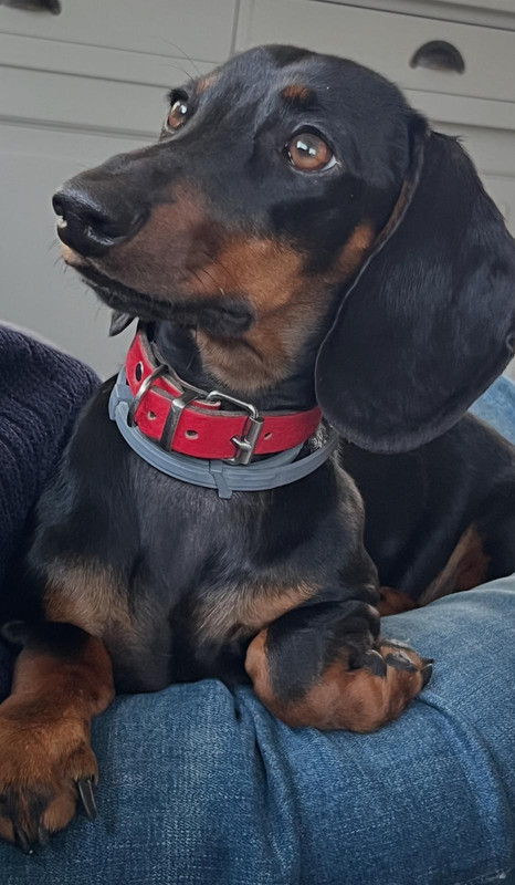 [Image: IMG-20250612-WA0052.jpg]