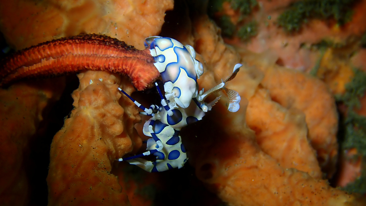 4D2E6D51-EABE-4AC3-BE7B-0B0B4C6E7A0C