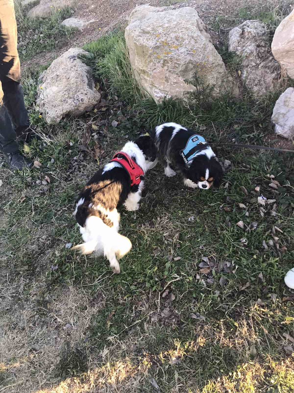 0B6F7471-F189-413A-9E3B-6307D5B99E4D