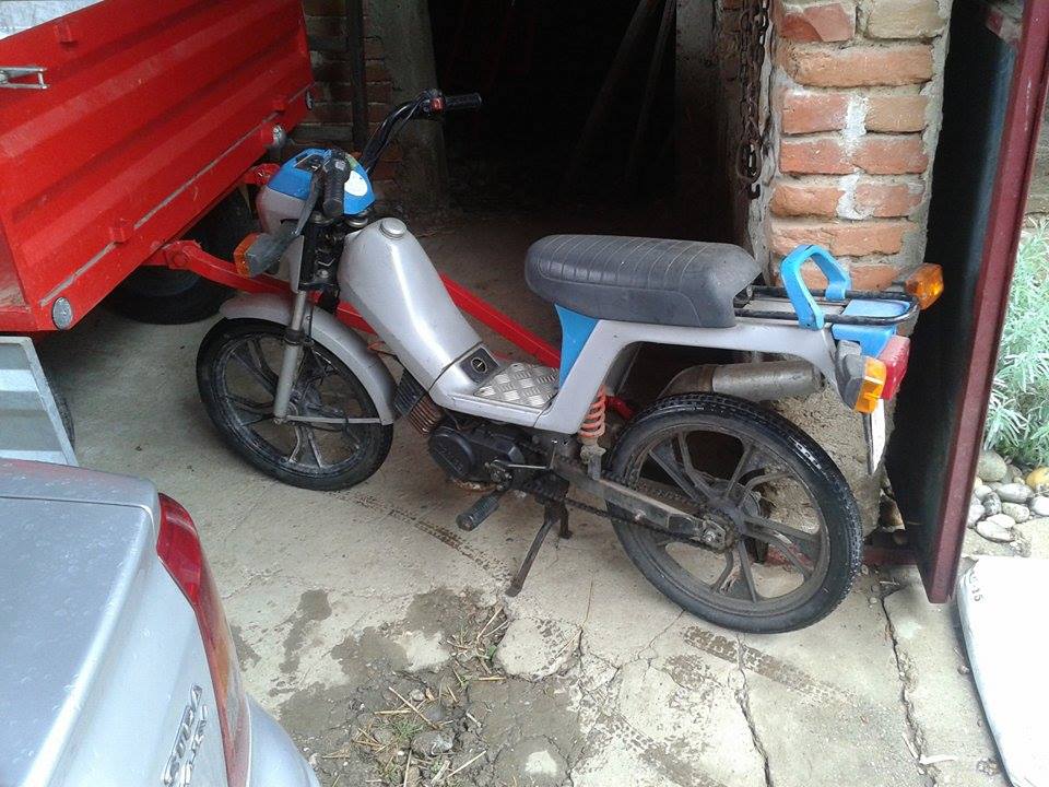 12029146_1005494489501600_1510292372_n