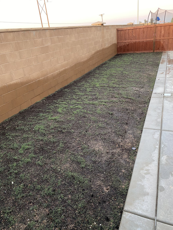 33D6AA89-21D4-4B75-AB0D-464CB154A100