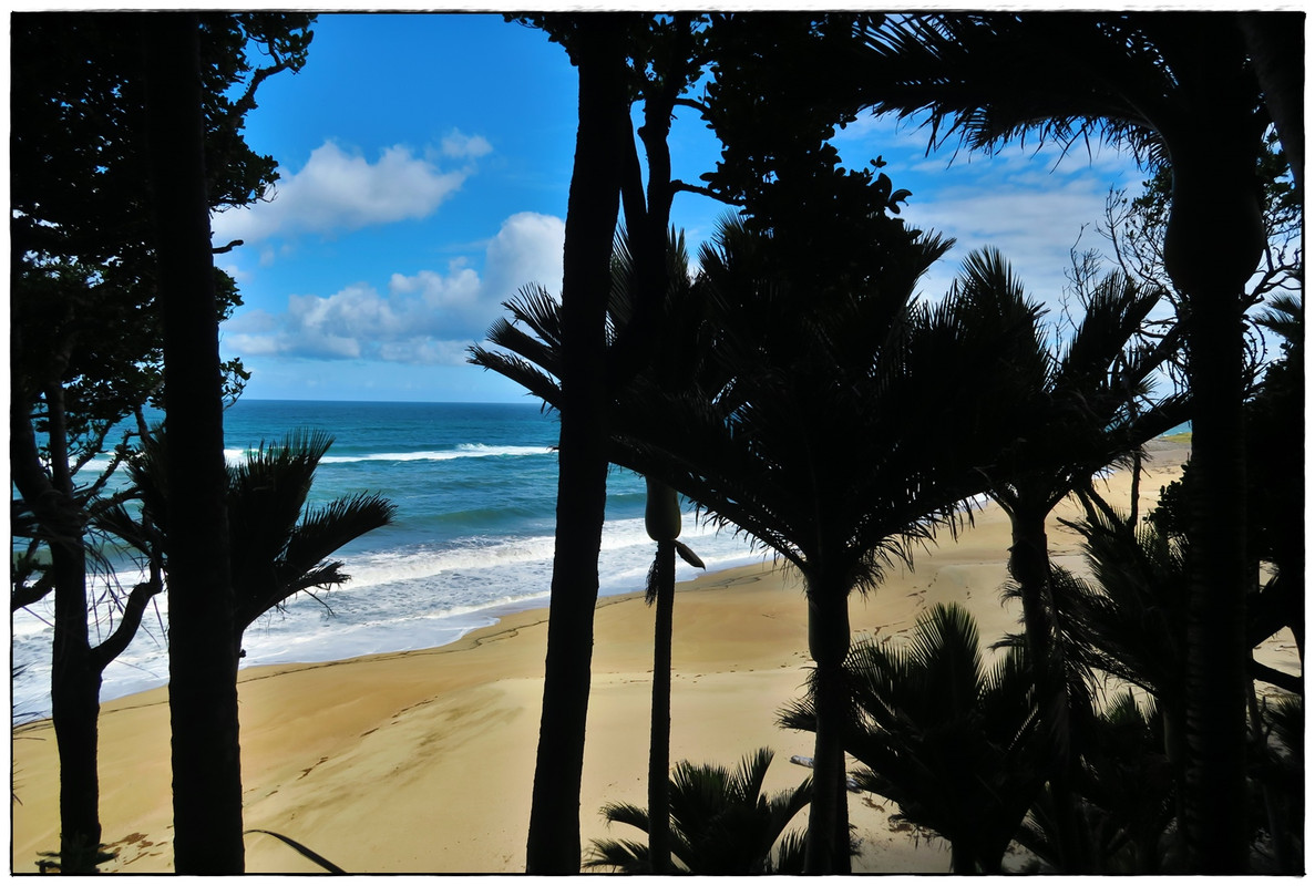 Escapadas y rutas por la Nueva Zelanda menos conocida - Blogs de Nueva Zelanda - Kahurangi NP: Heaphy Track (Navidad 2020, III) (49)