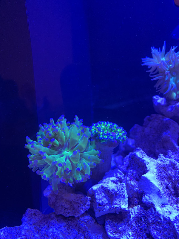 8750F1EF-EFBD-44B9-A78A-430DF38C5D11