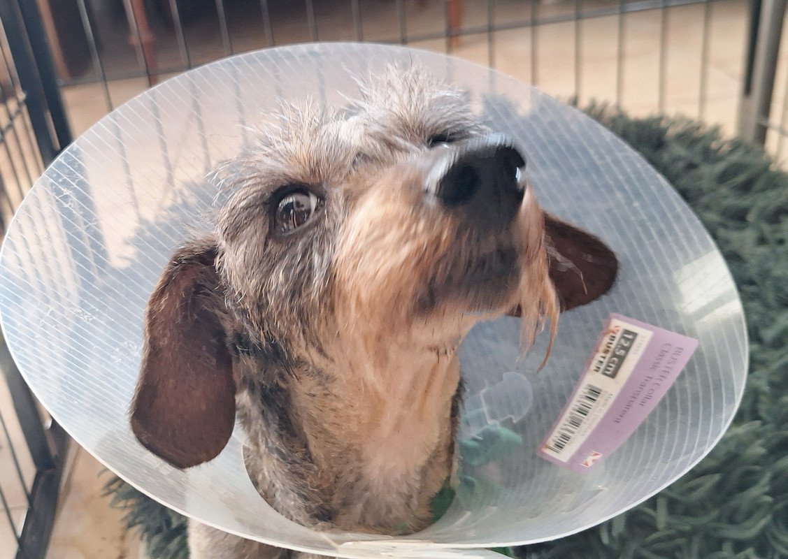 [Image: 20250301-105805.jpg]