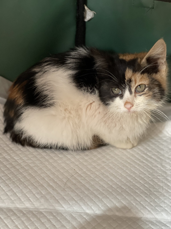 F3BB3930-5086-44F1-B32C-86C6127FDBE8