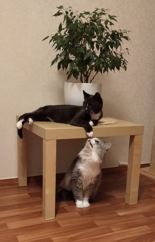 4FF790D5-E6EA-42CE-9128-909CC5567DCF