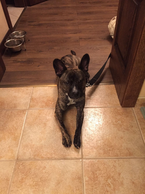 6C17DE5F-FE44-4DA4-B105-CC1035F0CCCC