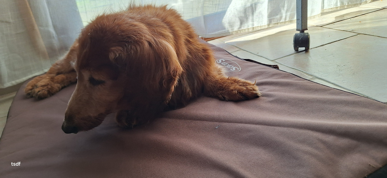 [Image: 20250311-093940.jpg]