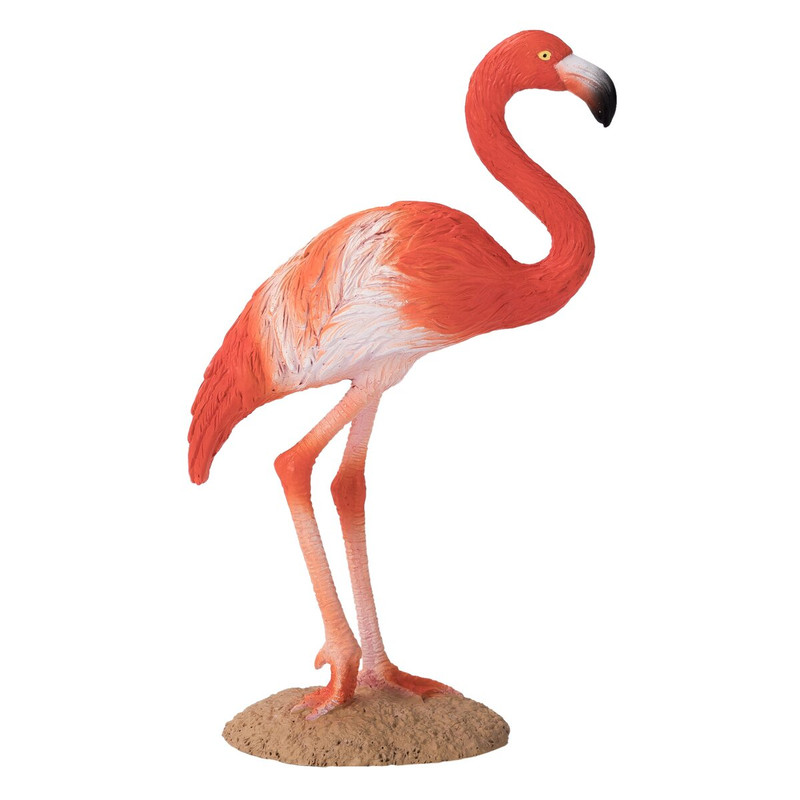 mojo - Mojo Fun New 2021 - complete with pictures - Page 9 Mojoe-387134-american-flamingo