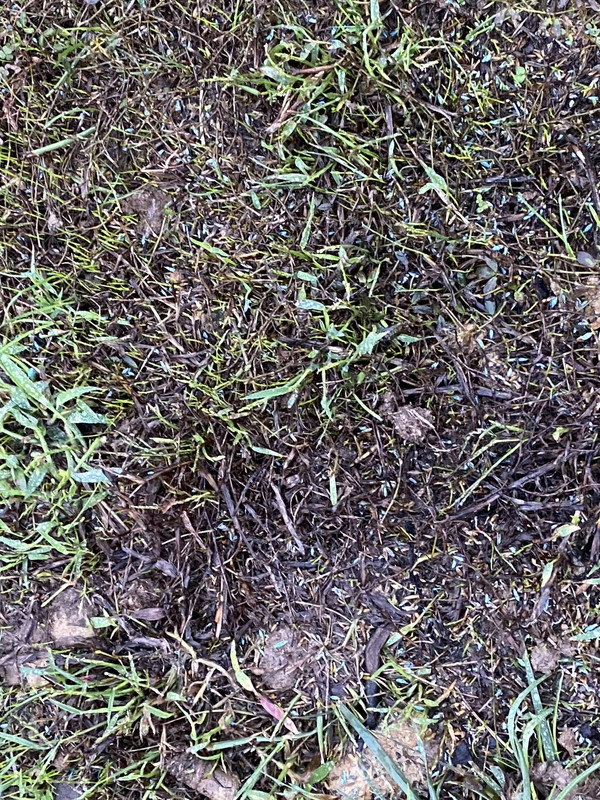 6EB4A402-FF97-4ED7-9653-B26C72C2150A