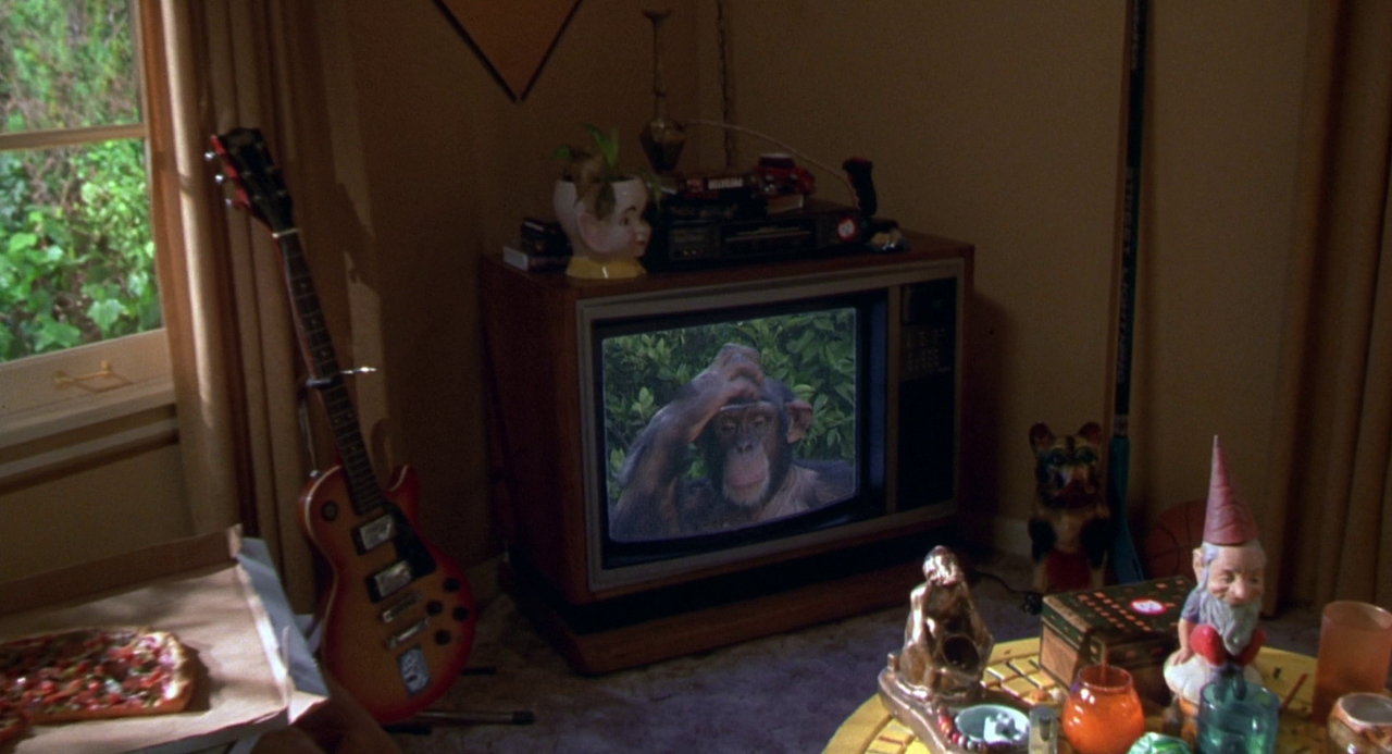 vlcsnap-2023-08-12-10h37m08s235