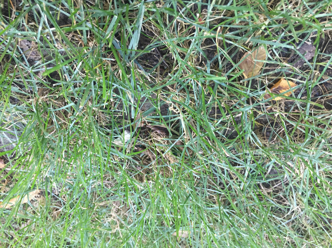 5F4CCB66-8425-49C7-B8A1-B2D88D89BD58