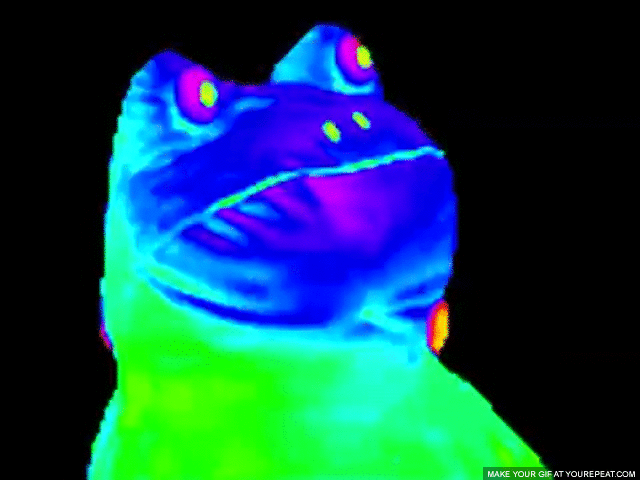 9UoY.gif