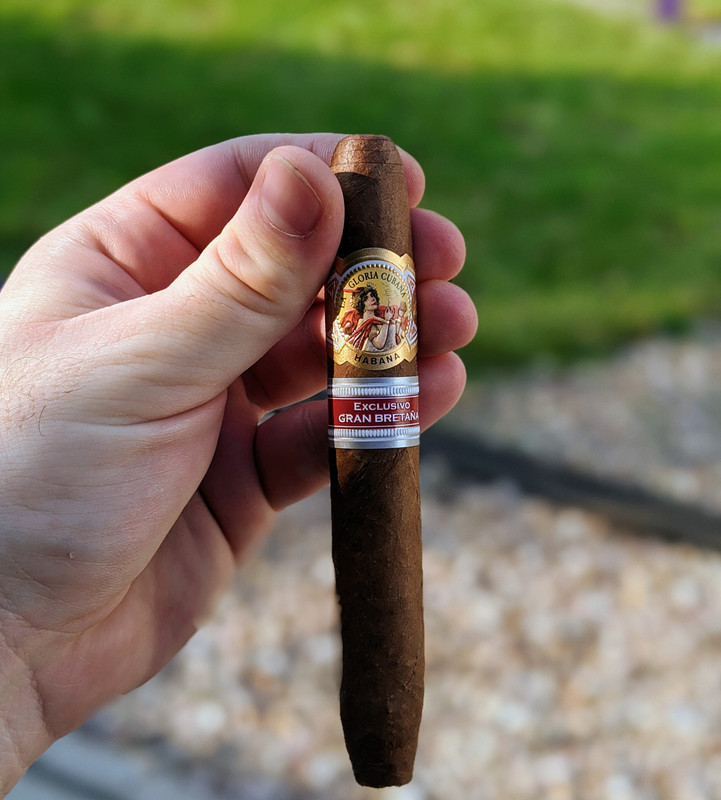 00100lrPORTRAIT_00100_BURST20200623190933586_COVER