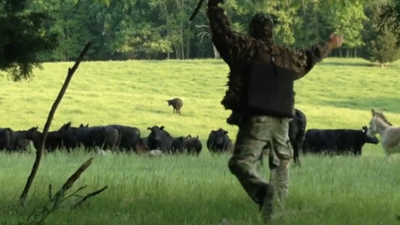 618D87E1-D182-4BE1-A726-E513E902365E