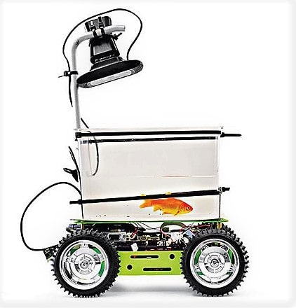 fish-car