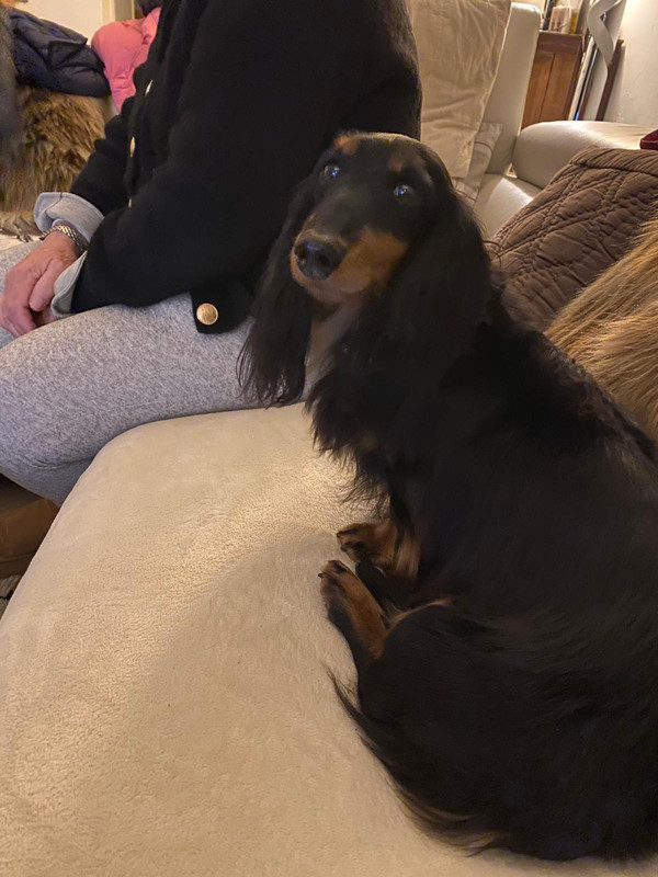 [Image: IMG-20250115-WA0018.jpg]