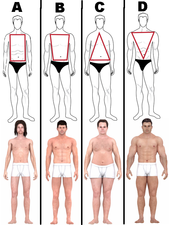 women what is your ideal male body type men body types