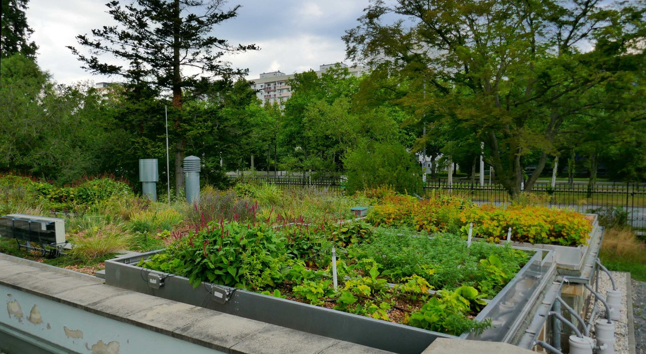 P1220301.jpg