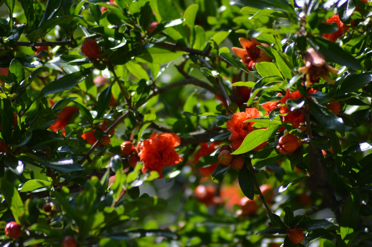 TctfBfu3qow_9kXl4XA2X1DlPmTi8bX0cFr2e9liwkPiYEGslyeHFu6l-Wp_rD1_CEC8fFYFKMSDKfnzKA4zmrRn