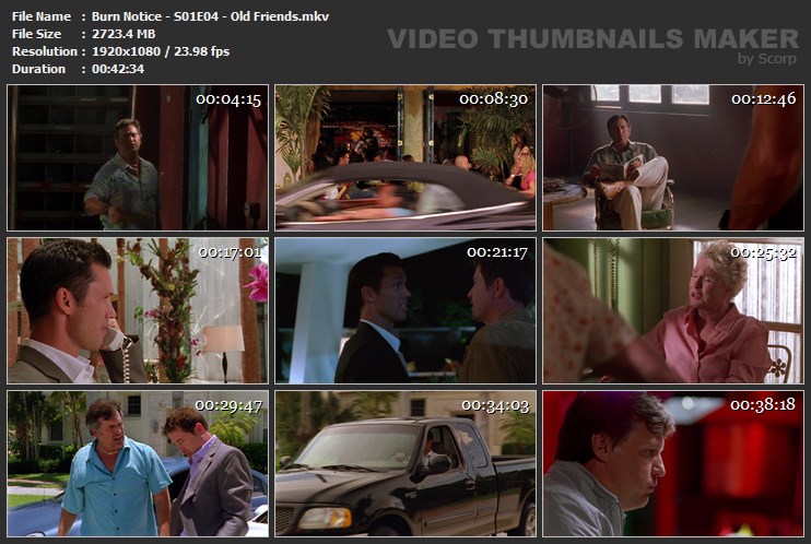 Burn Notice S01E04 Old Friends mkv