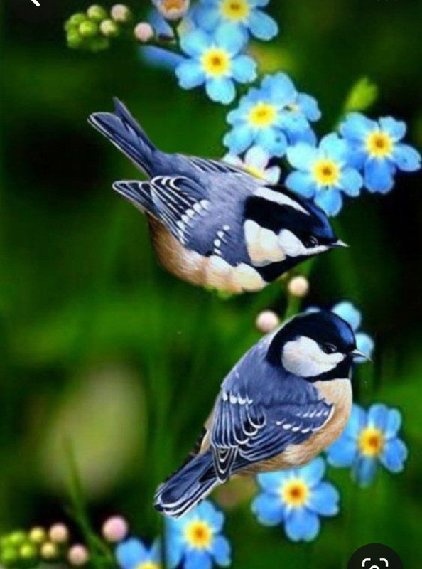 Screenshot_20240331_165557_Pinterest