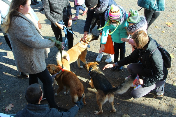 C9E06E0A-9690-4143-9205-EE791087A9D7