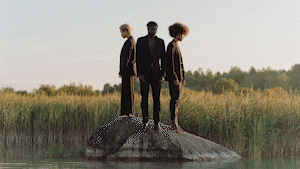 250+ Epic Visual Transition Pack | Premiere Pro 15 Zerrissenes Papier Übergang