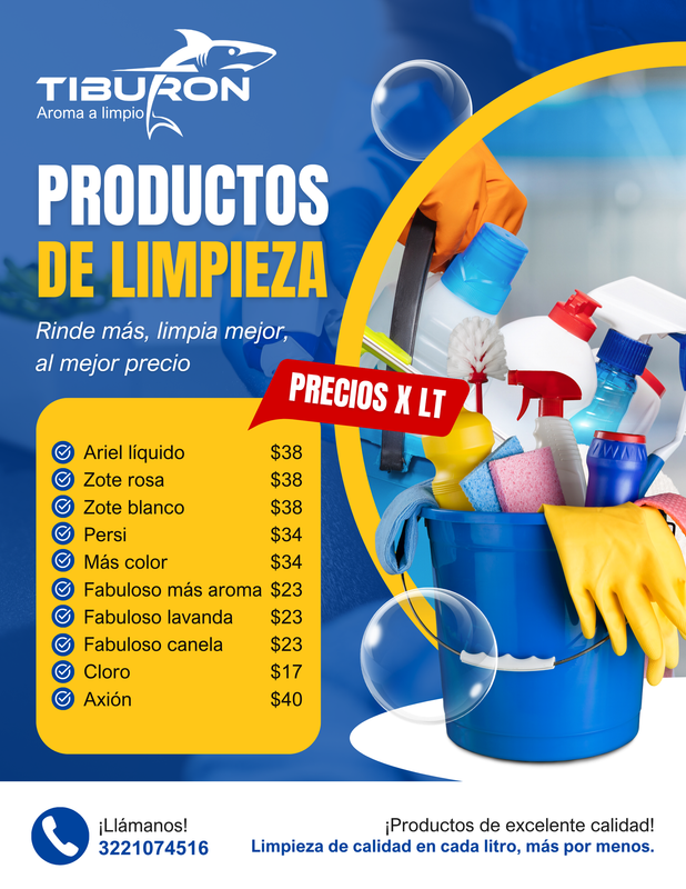 Cleaning Service