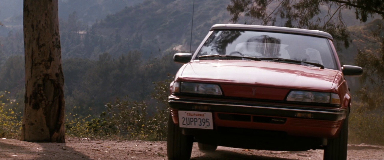 vlcsnap-2019-03-01-13h33m15s974