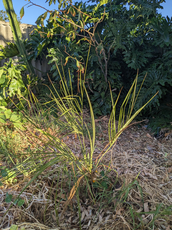 PXL_20241231_102725906