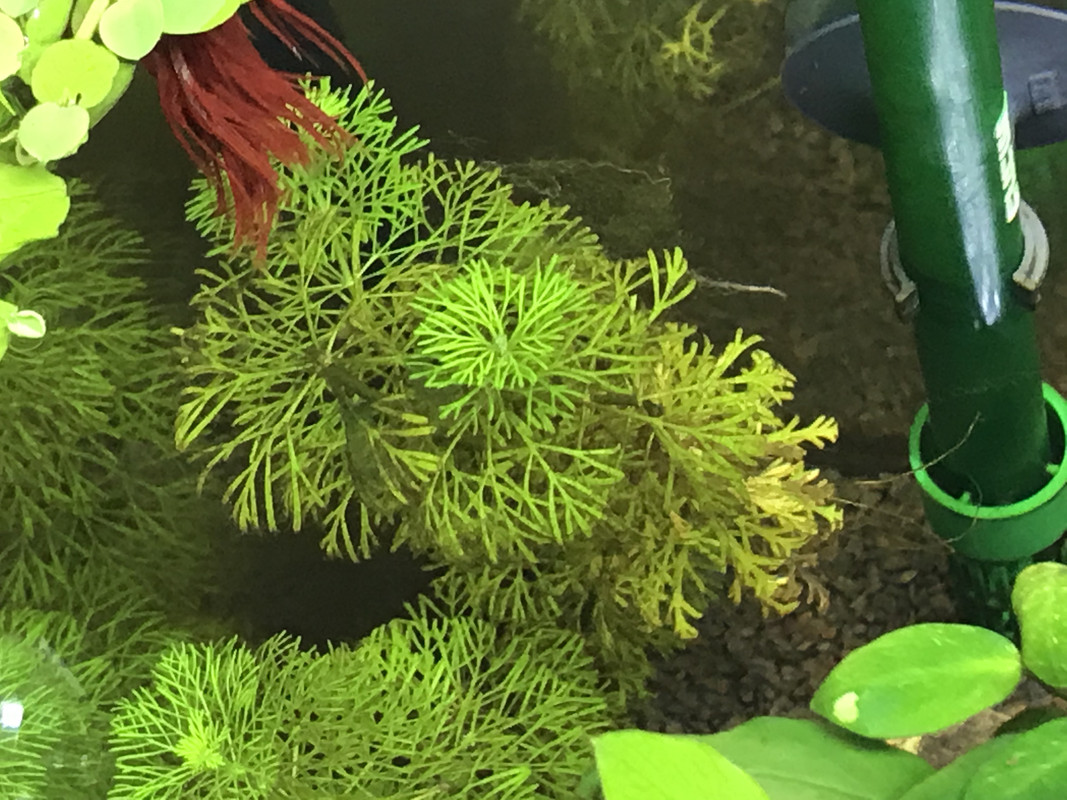 C0942509-16E0-44F1-A3EA-5FC087F9E618