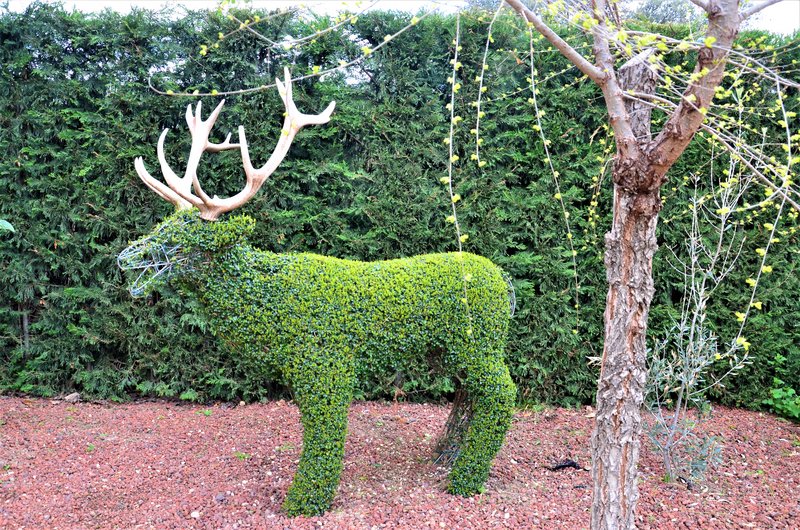 EL BOSQUE ENCANTADO-6-4-2013-MADRID - Paseando por España-1991/2016 (45)